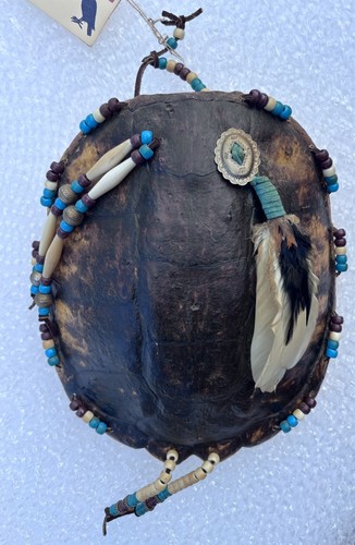 Turtle shell medicine shield - turtle,
