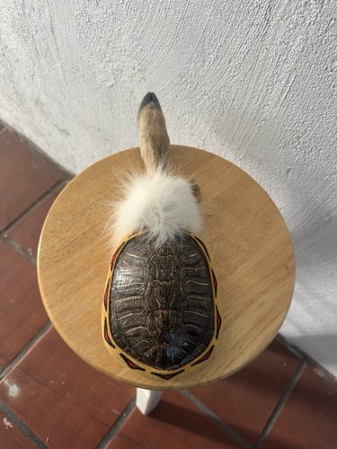 Deer foot and turtle - deer,